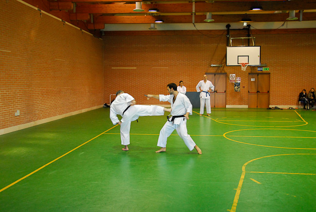 2008_166